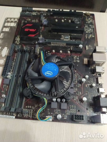 Материнская плата asus prime B250-plus