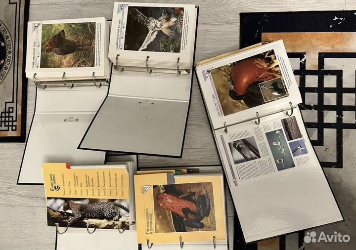 5 томов энциклопедии В мире дикой природы