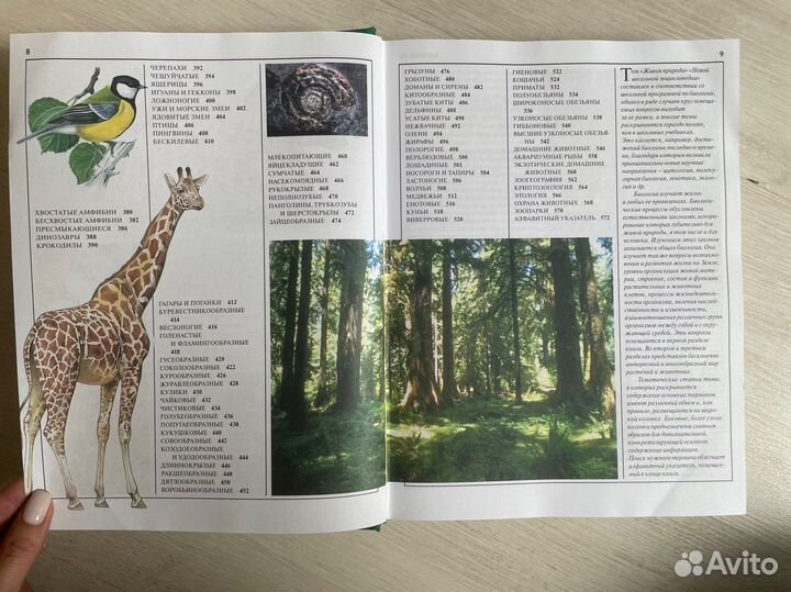 Новая школьная энциклопедия. Биология