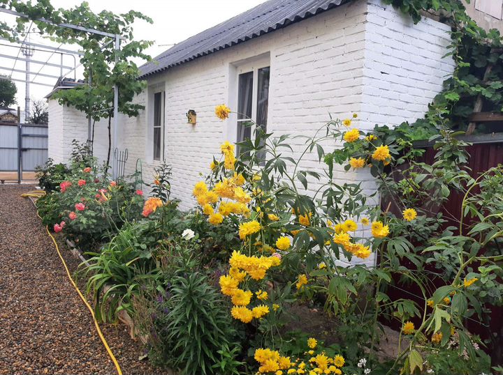 Дом 55 м² на участке 8 сот.