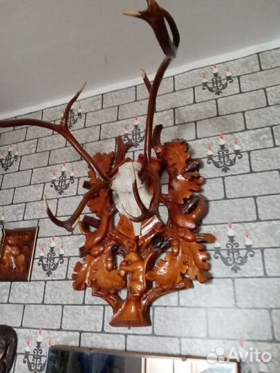 Рога дальневосточный олень