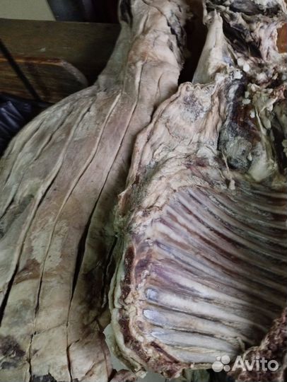 Мясо сушеное отличное.Говядина,Конина, Баранина