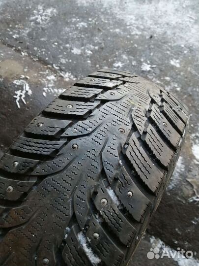 Nexen Winguard WinSpike WH62 195/65 R15