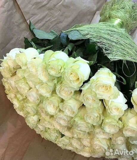 Высокие Розы с Доставкой