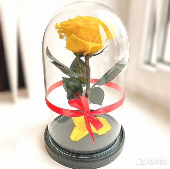 Розы в колбе на выбор