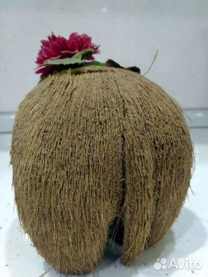 Копилка Слониха