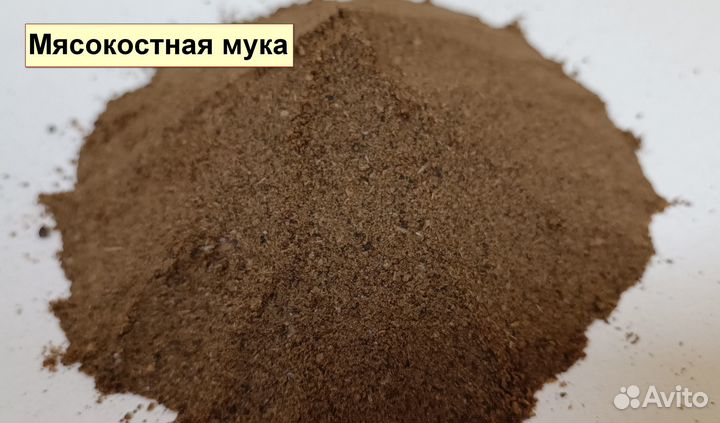 Корма для животных оптом