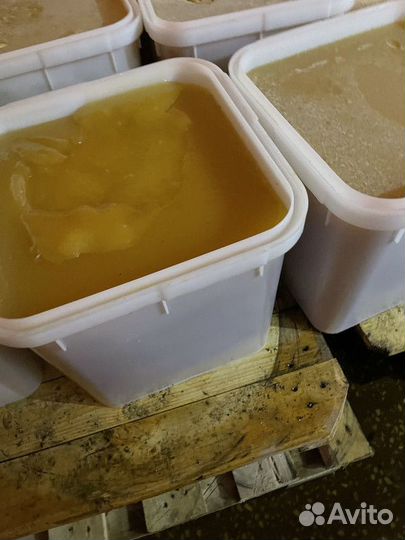 Эспарцетовый свежий мед оптом