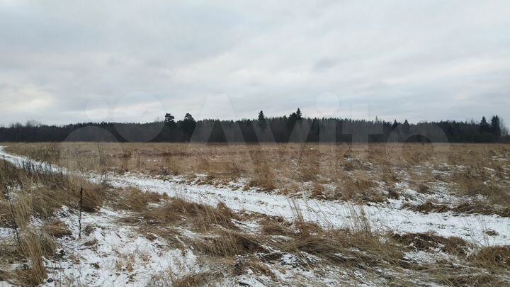 Участок 3,25 га (СНТ, ДНП)