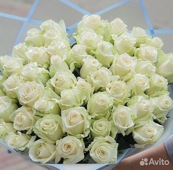 101 Роза Цветы Букеты 51 25 Роз Доставка