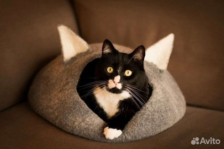 Передержка животных