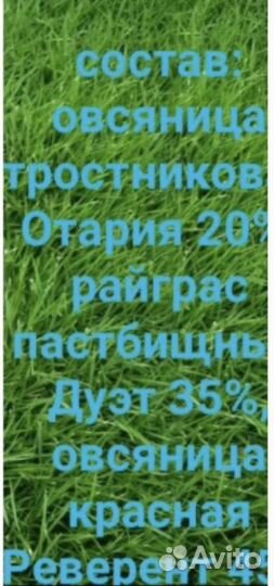 Семена газонной травы