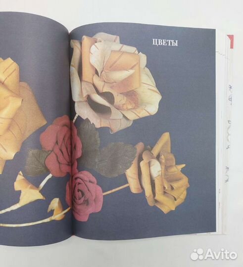 Энциклопедии 