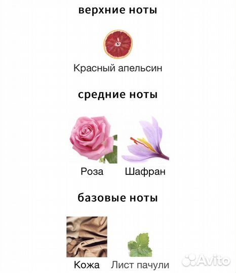 This Is Not A Blue Bottle 1.3 Histoires de Parfums