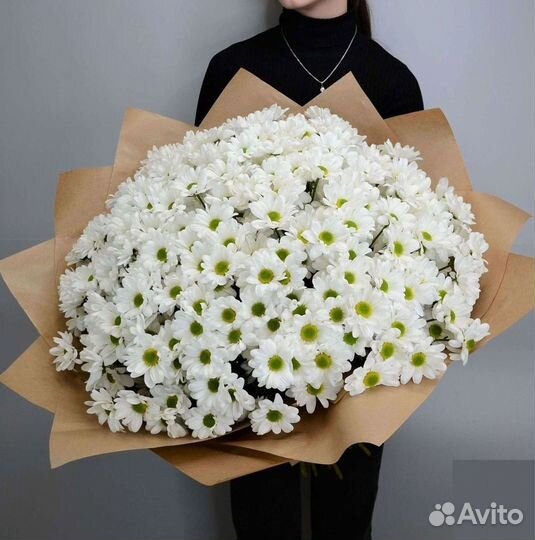 Хризантема Доставка цветов