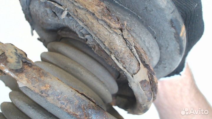 Амортизатор подвески Peugeot 206, 2004