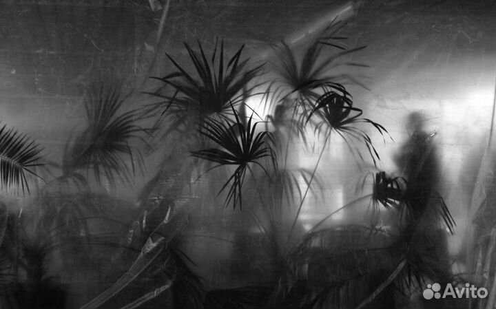 Итальянская картина Prague in my Heart. Фактурная