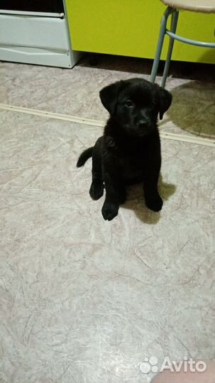 Маленькая девочка