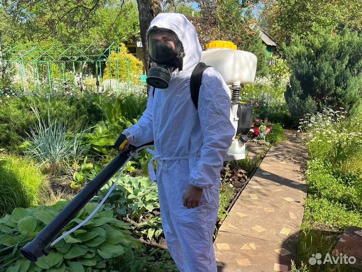 Дезинсекция Уничтожение тараканов / клопов и др