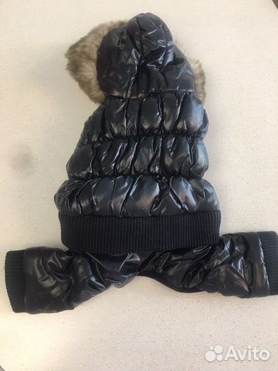 Одежда для собак мелких пород