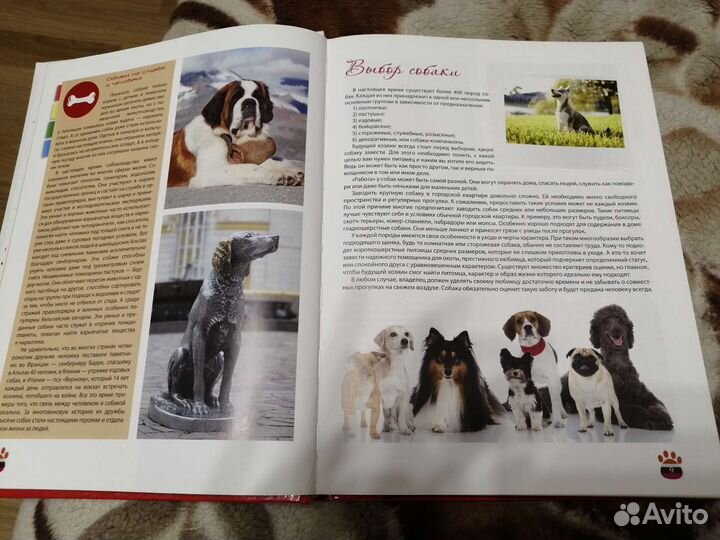 Детская энциклопедия