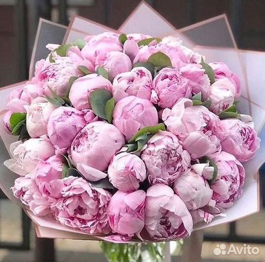 Пионы Розы Доставка