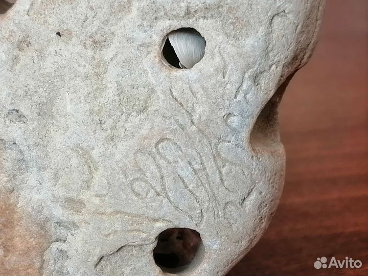 4 ракушки и уникальный куринный бог