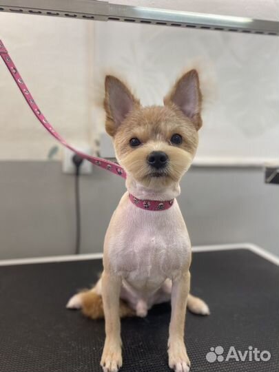 Требуются модели