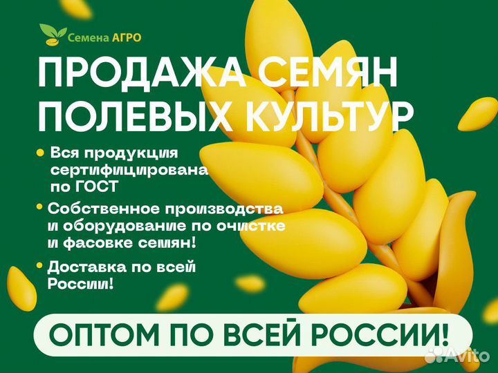 Семена Пырея Ползучего опт