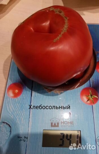 Семена редких томатов