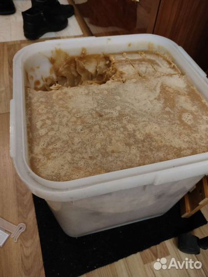 Алтайский край мед