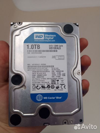 Жесткий диск 1 тб