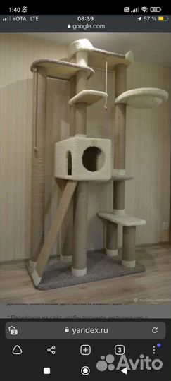 Когтеточка