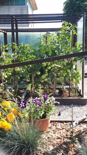 Участок 13,4 сот. (СНТ, ДНП)