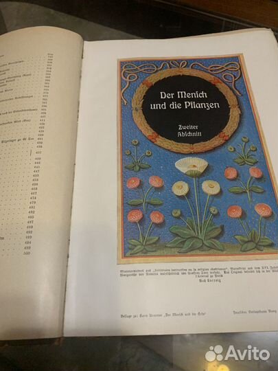 Книга Der Mensch und die Erde Человек и Земля 1912