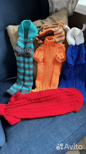 Одежда для сфинска