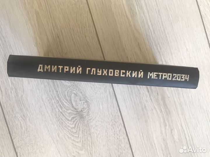 Книга Метро 2034