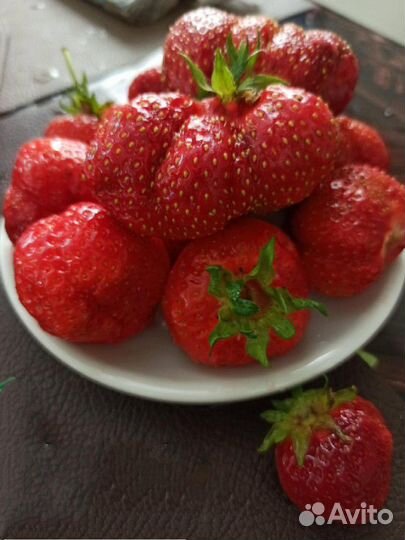 Клубника,Малина