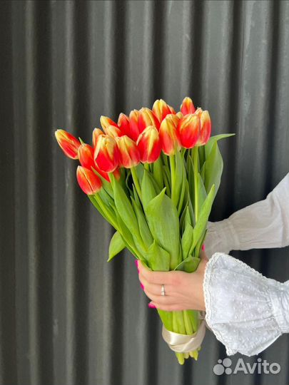 Тюльпаны к 8 марта