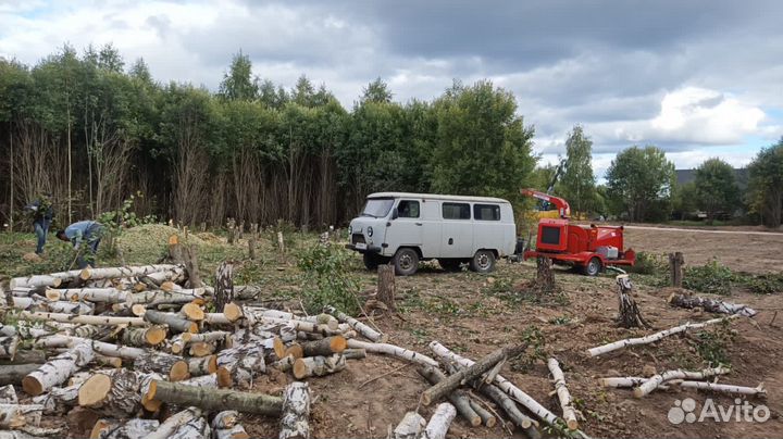 Расчистка участка, спил деревьев, выравнивание