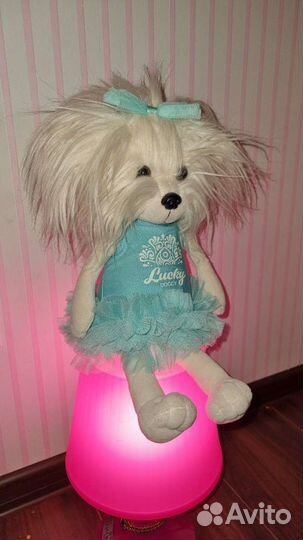 Собачка Lucky