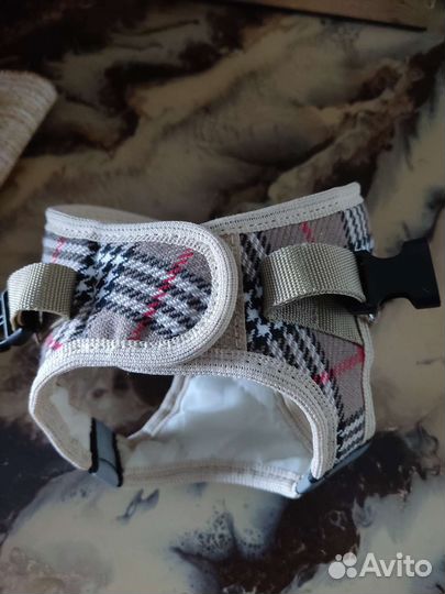 Шлейка для маленькой собаки