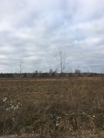 Участок 15 сот. (ИЖС)