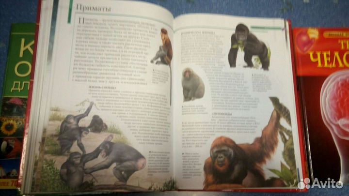 Энциклопедии