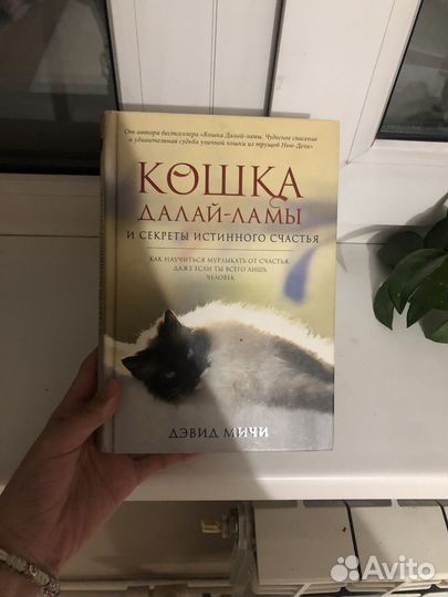 Книга кошки Далай-ламы