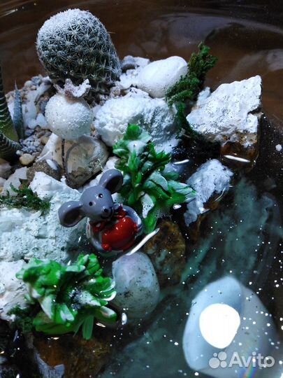 Светящийся подарок- флорариум