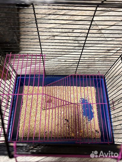 Клетка для грызунов