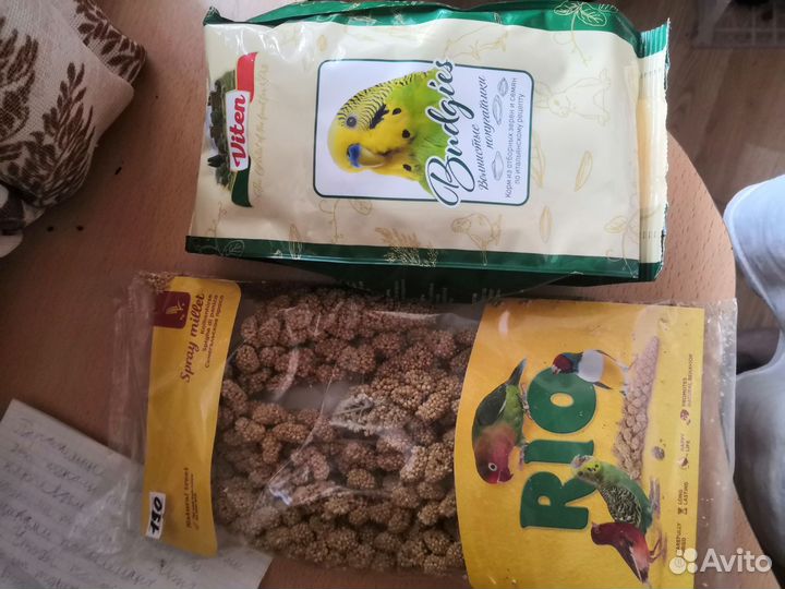 Корм и лакомство для попугая