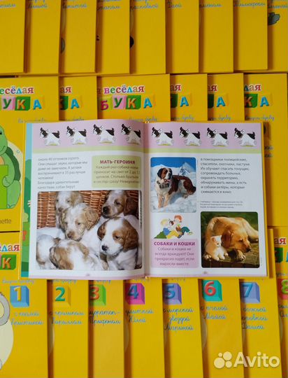 Коллекция развивающих книг Азбука