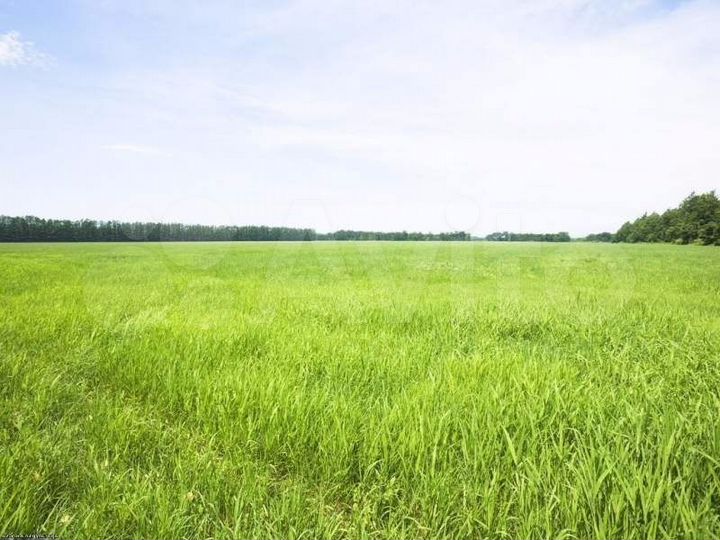 Участок 7,5 га (СНТ, ДНП)